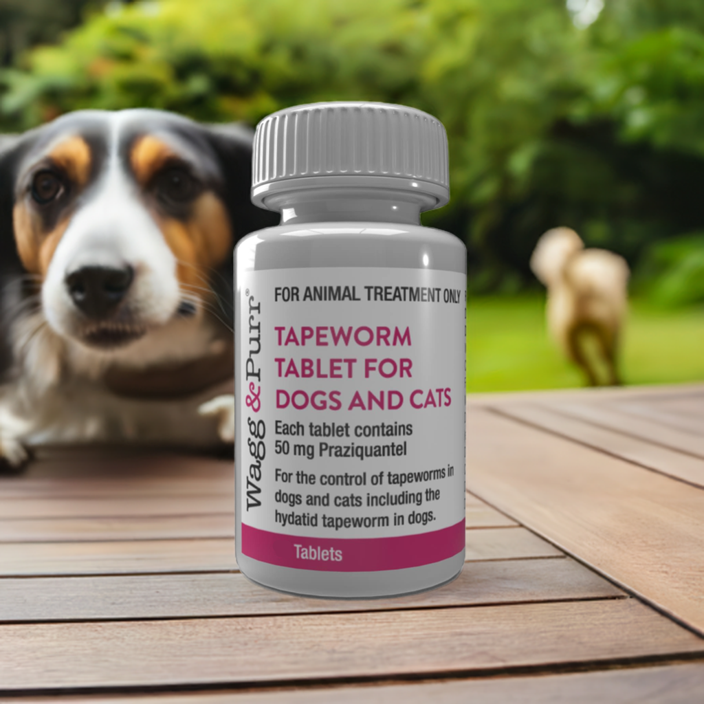 Wagg & Purr Tapeworm Tablet for Dogs & Cats