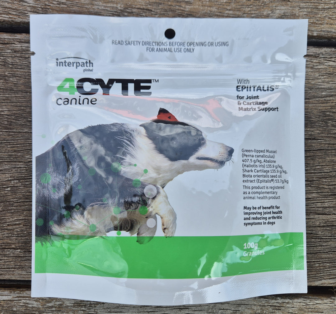 4cyte Canine Granule Sachet