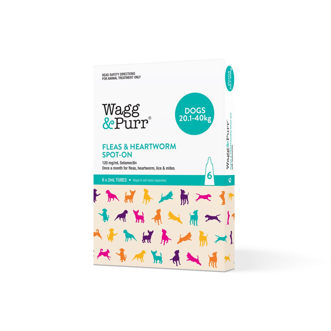 Wagg & Purr Fleas and Heartworm Teal Selamectin Spot On Dog 20.1-40kg 6 pack
